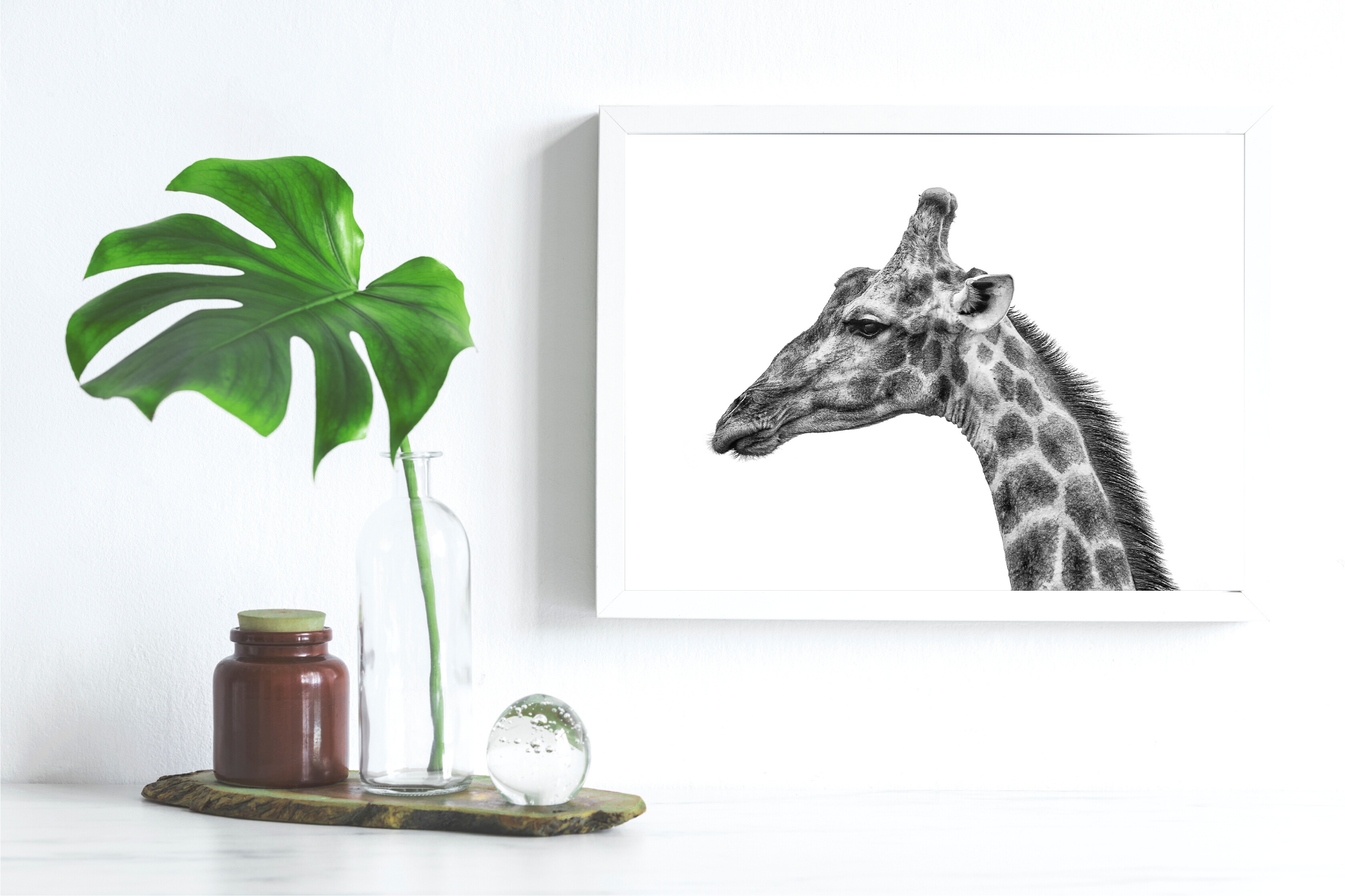 Photo Print - Giraffe - 11x14 With Matting (16x20) RTS