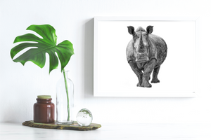 Photo Print - Rhino - 11x14 With Matting (16x20) RTS