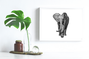 Photo Print - Elephant - 11x14 With Matting (16x20) RTS