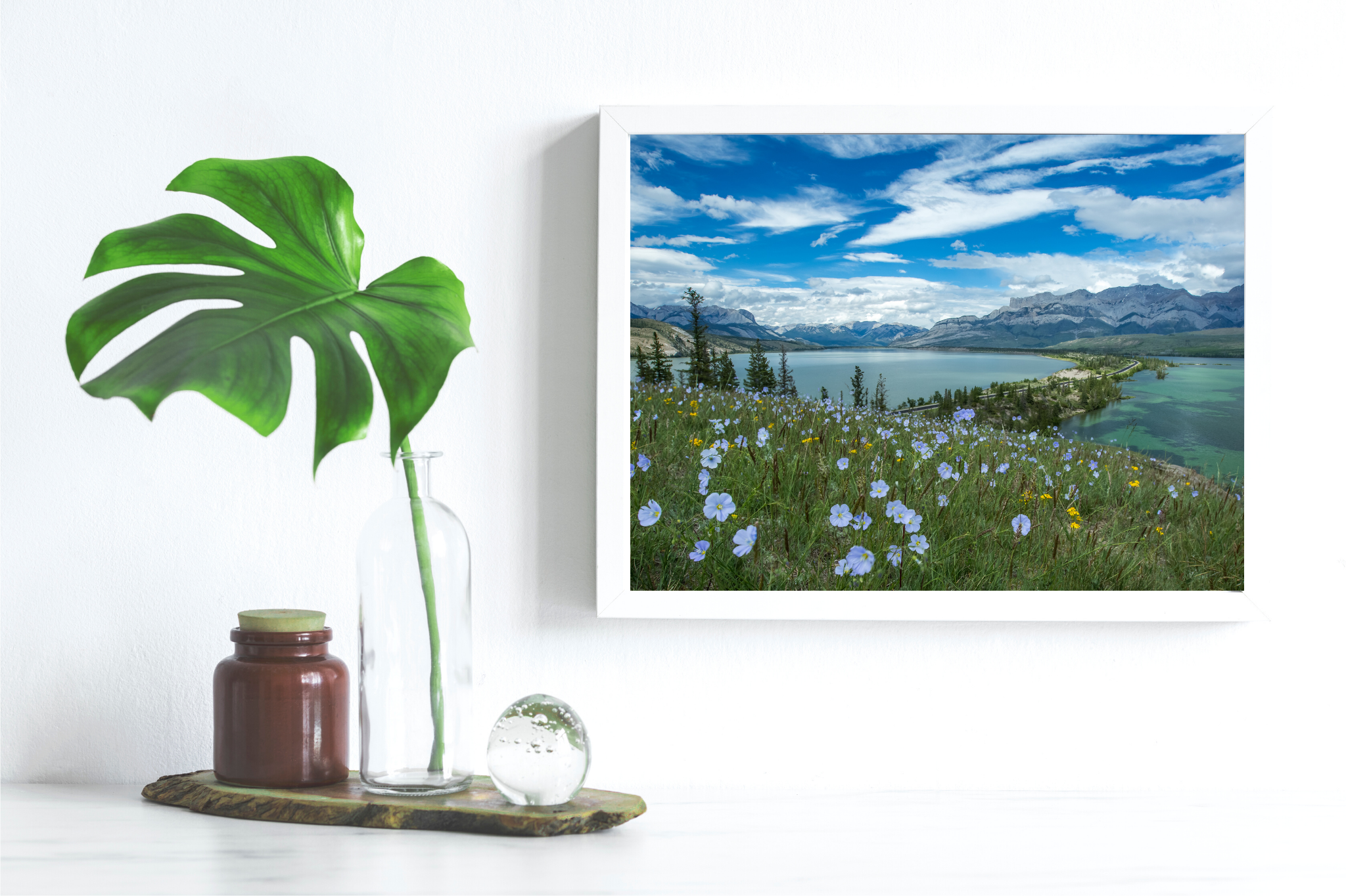 Photo Print - Wildflowers Over Talbot Lake - 12x18 RTS