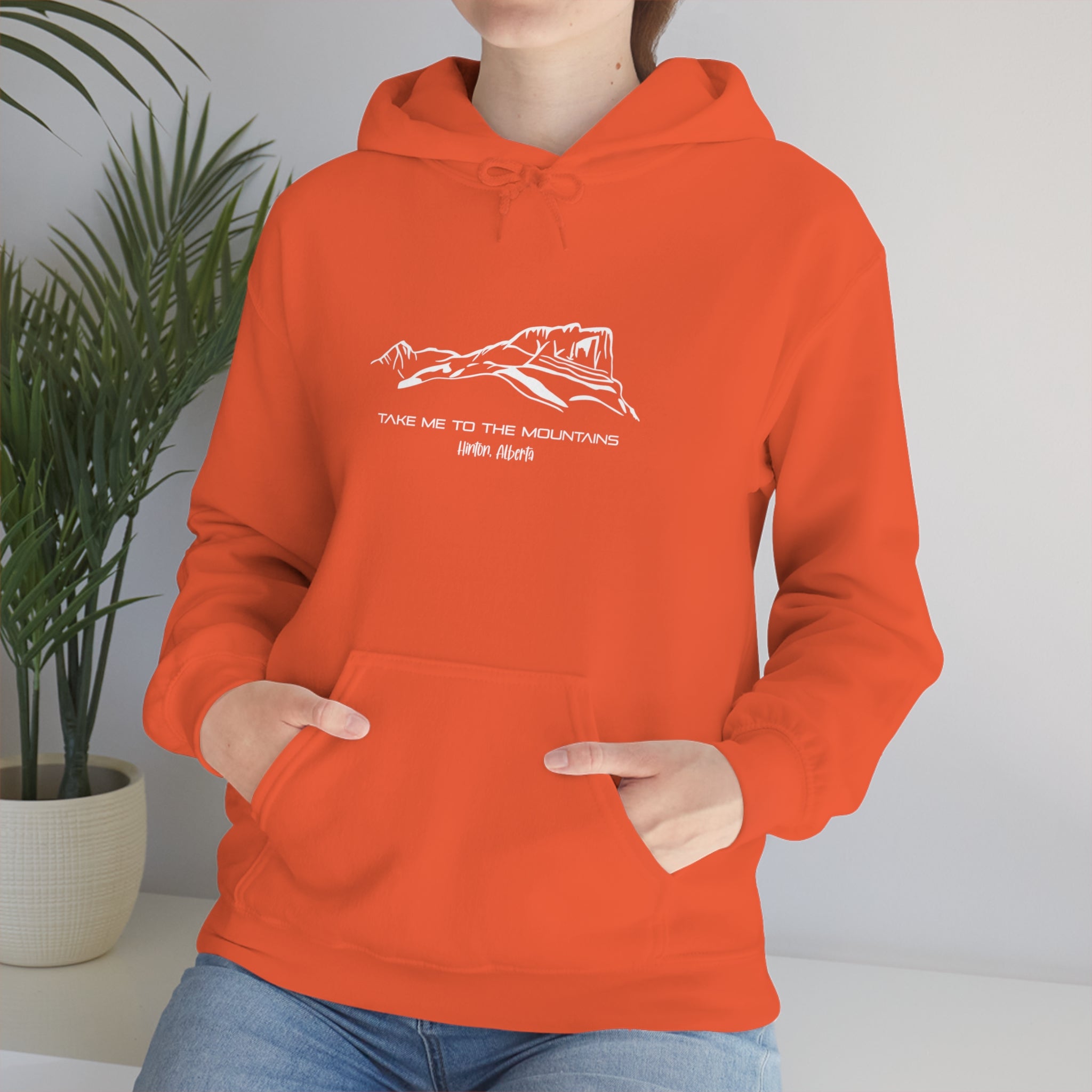 Unisex Heavy Blend™ Hooded Sweatshirt Take Me To The Mountains With Hinton AB