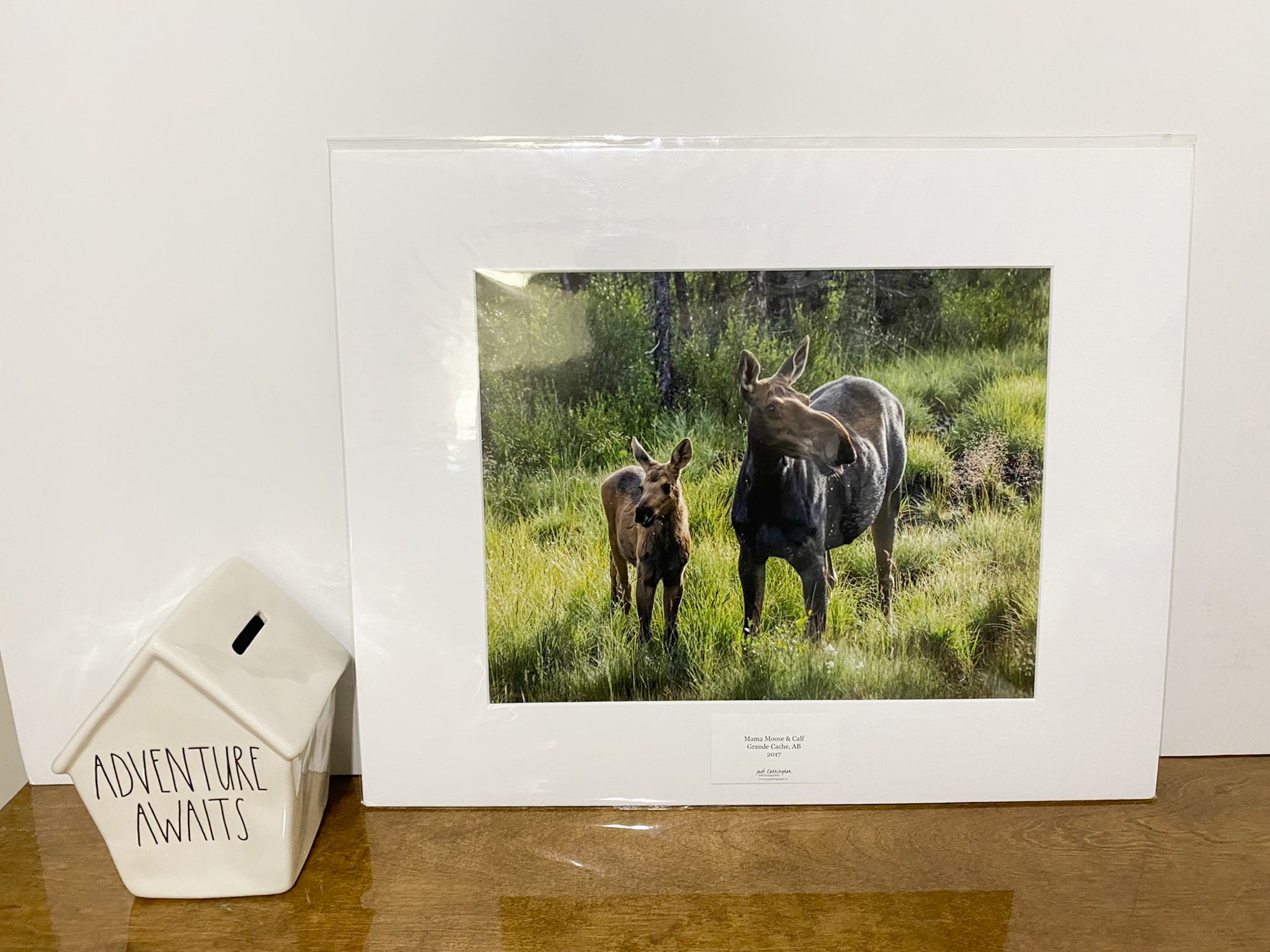 Photo Print - Moose Mama & Baby - 11x14 With Matting (16x20) RTS